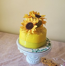 Baby Shower cake